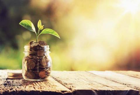 17495984_10212101705199582_303722208_n